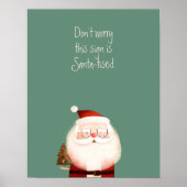 Santa Claus Funny Quote Poster (Voorkant)