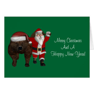 Santa Claus houdt van Beren