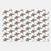 Santa Claus houdt van Dinosaurs Inpakpapier Vel (Voorkant)