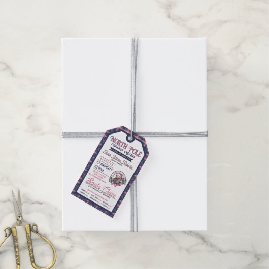 Santa Claus Noordpool Roze & Blauw Plaid Kerstmis Cadeaulabel (Met Touw)