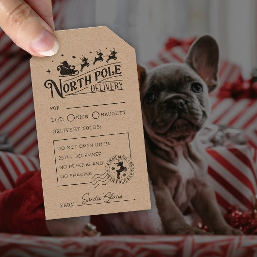  Santa Claus Noordpool Speciale levering Rubberstempel
