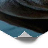 Santa Claus Poster (Hoek)