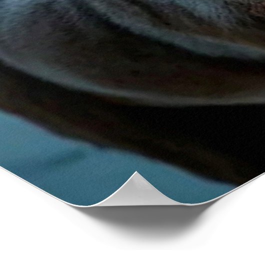 Santa Claus Poster (Hoek)