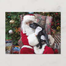 Santa Claus Puppy Black Labrador Kerstmis