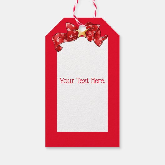 Santa Claus Snow Wereldbol Gift Label Cadeaulabel (Achterkant)