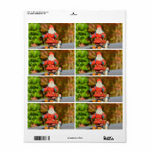 Santa Claus-versiering Etiket (Full Sheet)