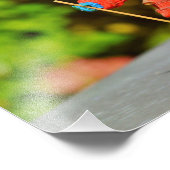 Santa Claus-versiering Foto Afdruk (Hoek)