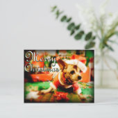 Santa Clause Chihuahua Vrolijk Kerstfeest Feestdagenkaart (Staand voorkant)