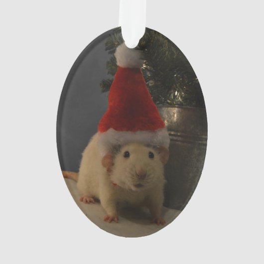 Santa Clause Dumbo Rat Ornament (achterkant)