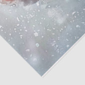 Santa Clause Tissuepapier (Detail)