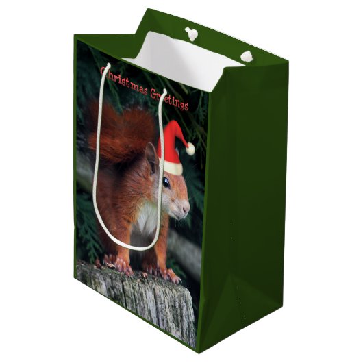 Santa Claws Medium Gift Bag Cadeauzakje (Voorkant Gekanteld)