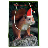 Santa Claws Medium Gift Bag Cadeauzakje (Voorkant)