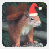 Santa Claws Sticker (Voorkant)