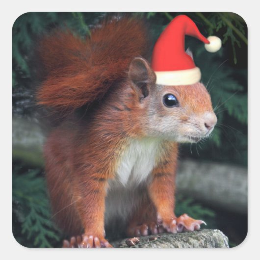 Santa Claws Sticker (Voorkant)