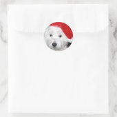 Santa Coop Sticker (Tas)