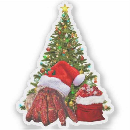 Santa Crab Funny Christmas Hermit Crab Lover Sticker (Voorkant)
