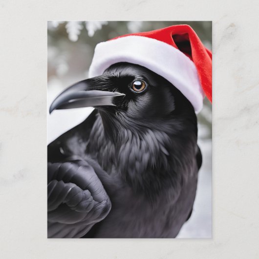 Santa Crow Briefkaart (Voorkant)