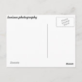 Santa Cruz Beach Boardwalk Tram Briefkaart (Achterkant)