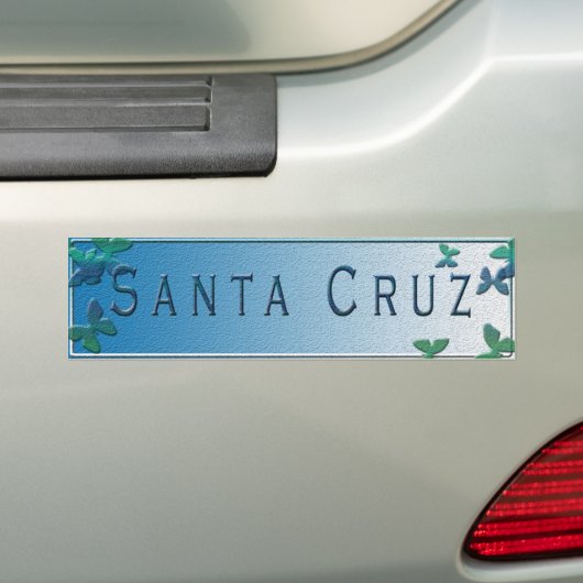 Santa Cruz Bumpersticker (Op auto)