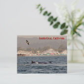 Santa Cruz, California Humpback Whale Briefkaart (Staand voorkant)