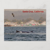 Santa Cruz, California Humpback Whale Briefkaart (Voorkant)