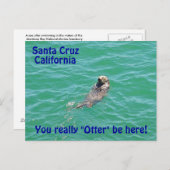 Santa Cruz California Otter Briefkaart (Voorkant / Achterkant)