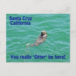 Santa Cruz California Otter Briefkaart