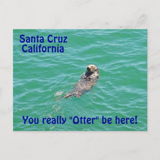 Santa Cruz California Otter Briefkaart (Voorkant)