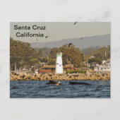 Santa Cruz, Californië Humpback Whales Briefkaart (Voorkant)