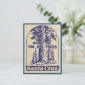 Santa Cruz Californië - Thuis van de Big Trees Briefkaart (Staand voorkant)