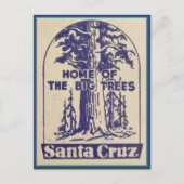 Santa Cruz Californië - Thuis van de Big Trees Briefkaart (Voorkant)