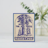 Santa Cruz Californië - Thuis van de Big Trees Briefkaart (Staand voorkant)