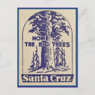 Santa Cruz Californië - Thuis van de Big Trees Briefkaart