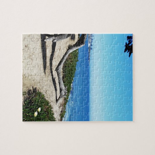 Santa Cruz Coast Legpuzzel (Horizontaal)