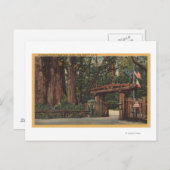 Santa Cruz County, CA Intrance to Big Trees Park Briefkaart (Voorkant / Achterkant)