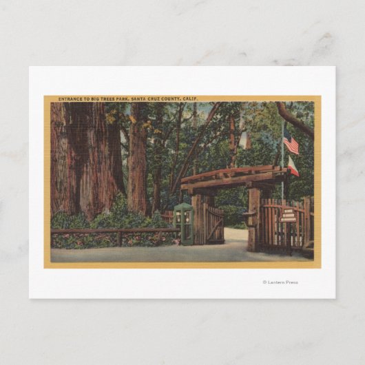 Santa Cruz County, CA Intrance to Big Trees Park Briefkaart (Voorkant)