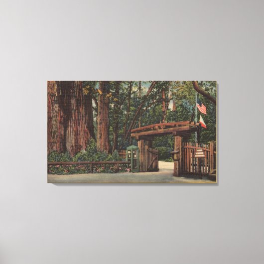 Santa Cruz County, CA Intrance to Big Trees Park Canvas Afdruk (Voorkant)