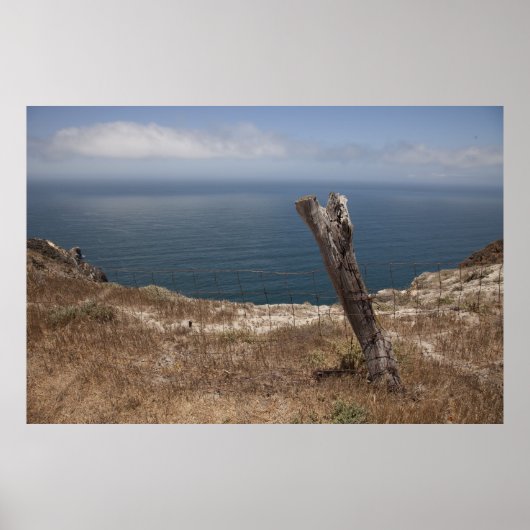 Santa Cruz Island serie 10 Poster (Voorkant)