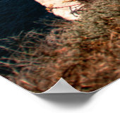 Santa Cruz Island Series 1 Poster (Hoek)