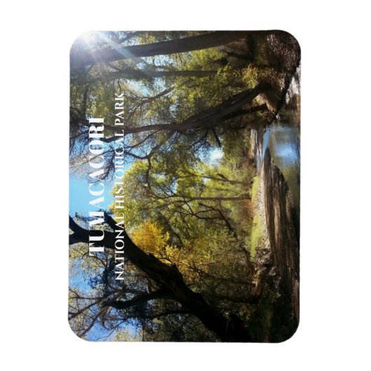 Santa Cruz, Juan Bautista de Anza Trail, AZ Magneet (Verticaal)