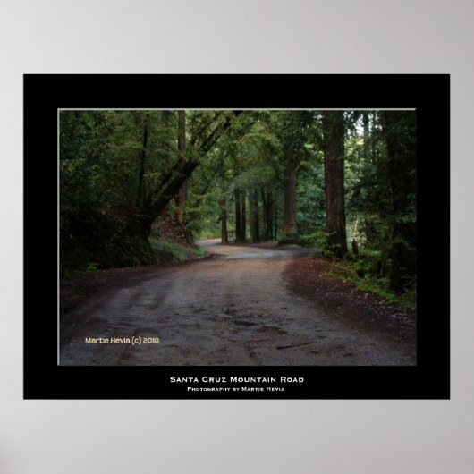 "Santa Cruz Mountain Road" Poster (Voorkant)