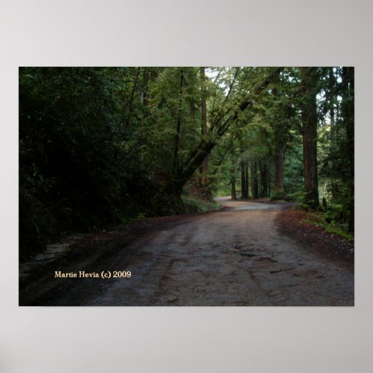 Santa Cruz Mountain Road Print - Selecteer uw Lijs (Voorkant)