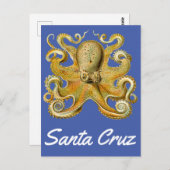 Santa Cruz  Octopus Briefkaart (Voorkant / Achterkant)
