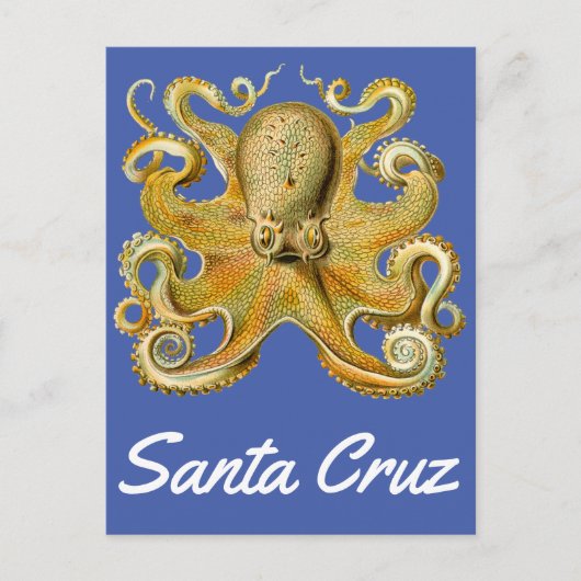 Santa Cruz  Octopus Briefkaart (Voorkant)