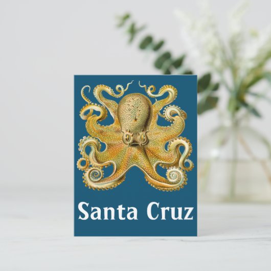 Santa Cruz  Octopus Briefkaart (Staand voorkant)