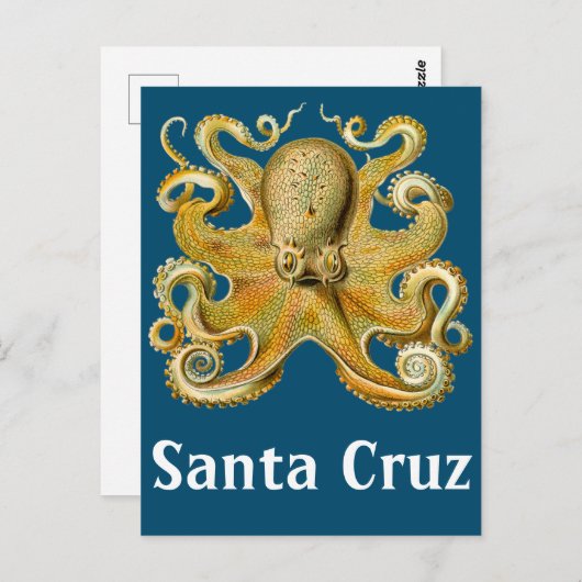 Santa Cruz  Octopus Briefkaart (Voorkant / Achterkant)