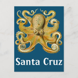 Santa Cruz  Octopus Briefkaart
