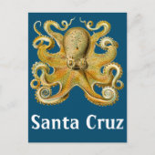 Santa Cruz  Octopus Briefkaart (Voorkant)