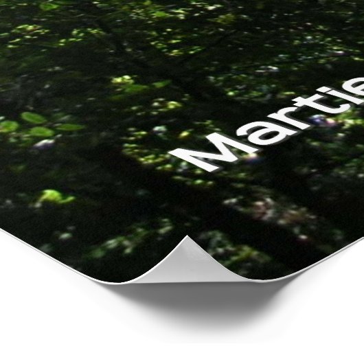 Santa Cruz Redwoods Poster (Hoek)