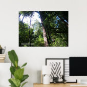 Santa Cruz Redwoods Poster (Thuiskantoor)